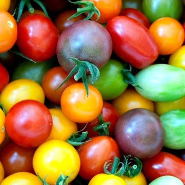 100Pc/Bag of Incredible Zen Rainbow Cherry Tomato Seeds